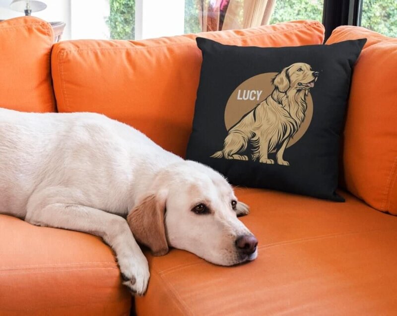 Personalised cushions
