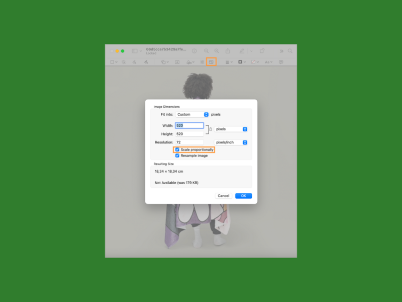 A screenshot mockup showing how to scale images on a MacOS device.