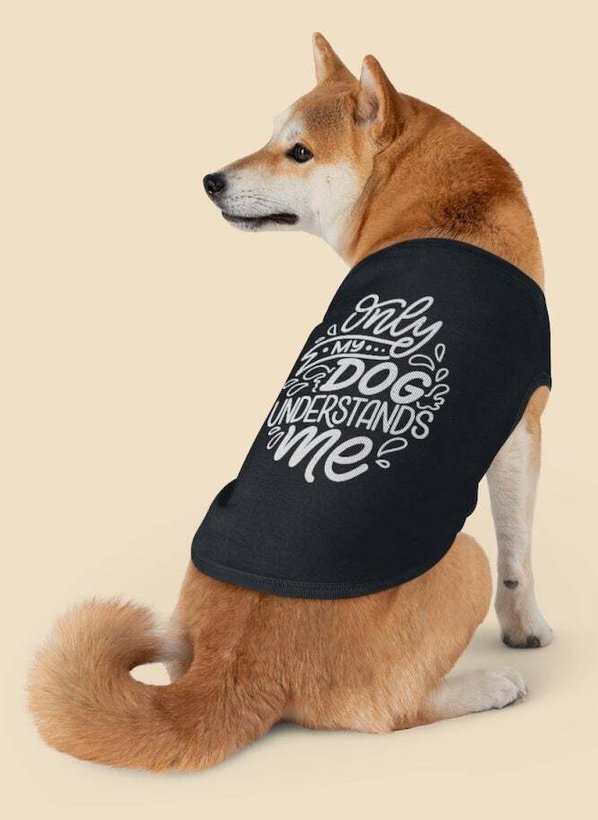 Custom pet accessories by Printify