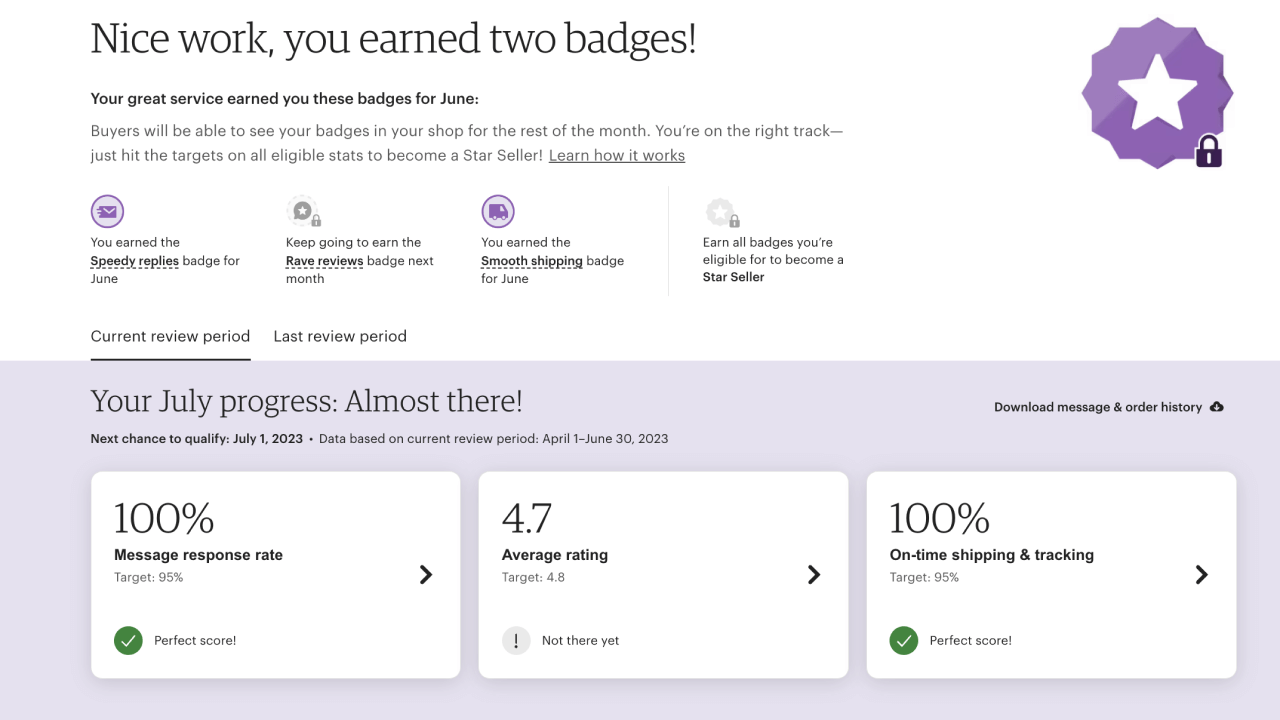 Etsy Star Seller progress tracking page displaying all the earned badges and progress stats.