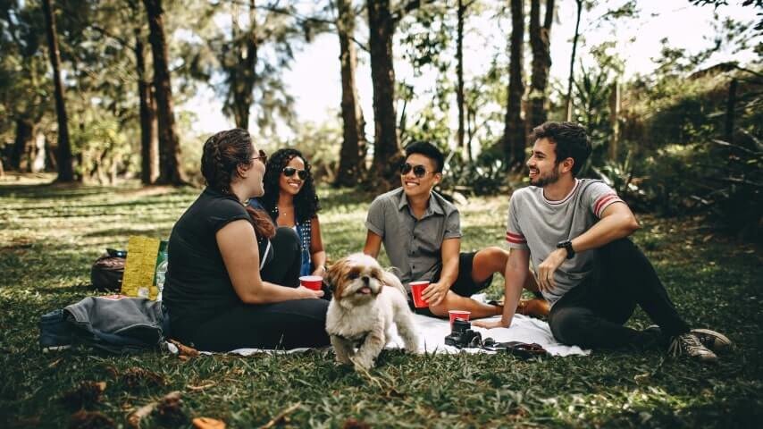 A group of people having a picnic with a dog.