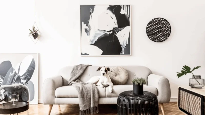 A living room features a beige sofa with a relaxed dog and a gray blanket. Abstract black-and-white art hangs above.