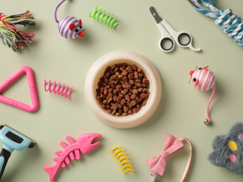 Various pet supplies, including toys and food, arranged on a bright green background.