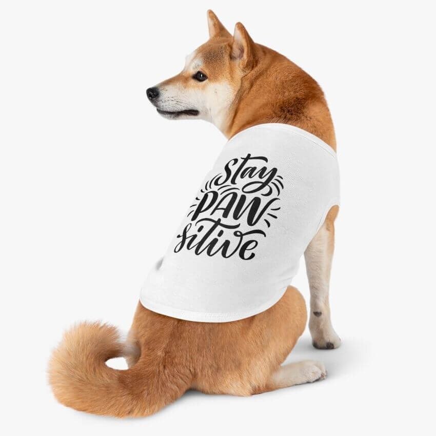 Shiba Inu wearing a dog t-shirt that says 