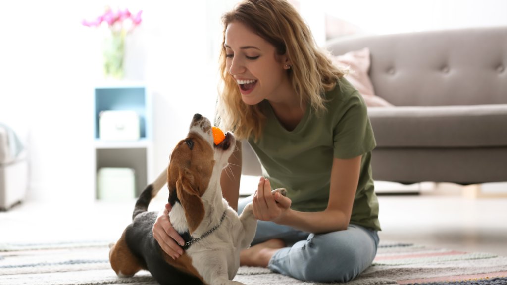A woman playing with a dog that has a ball in his mouth.
