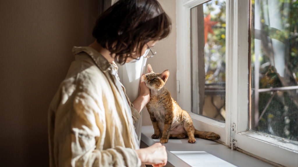 A woman is seen petting a cat on the window sill, highlighting a peaceful interaction between human and pet.