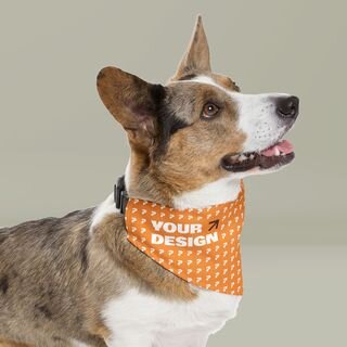 Pet Bandana Collar