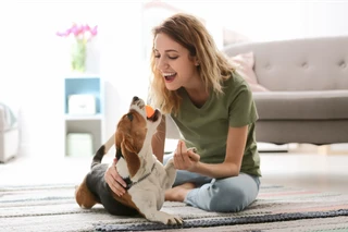 54 Best dog gifts: Find something for every pup and pet parent