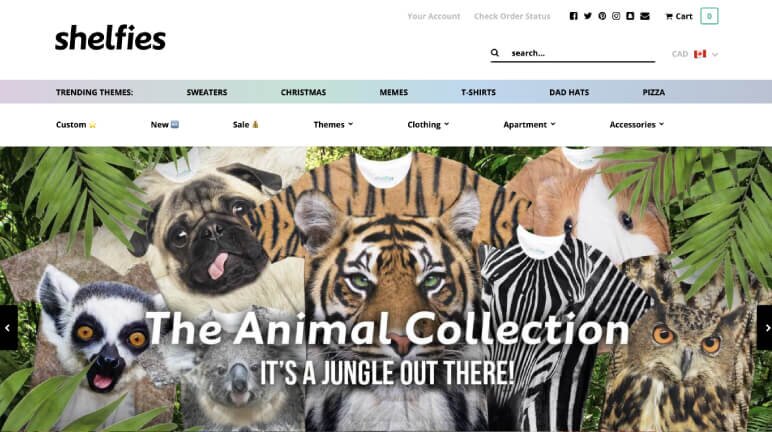 Successful Shopify T-Shirt Store - Shelfies
