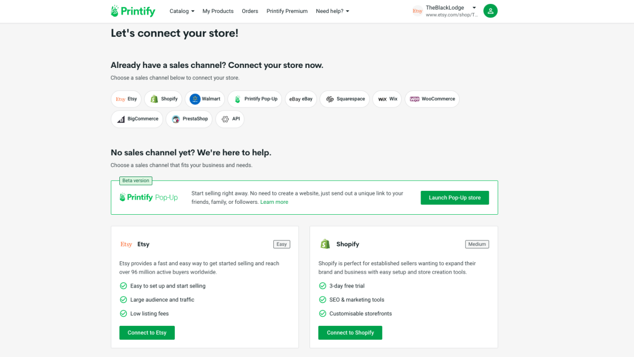 Printify's store connection page showing all of Printify's integrations.
