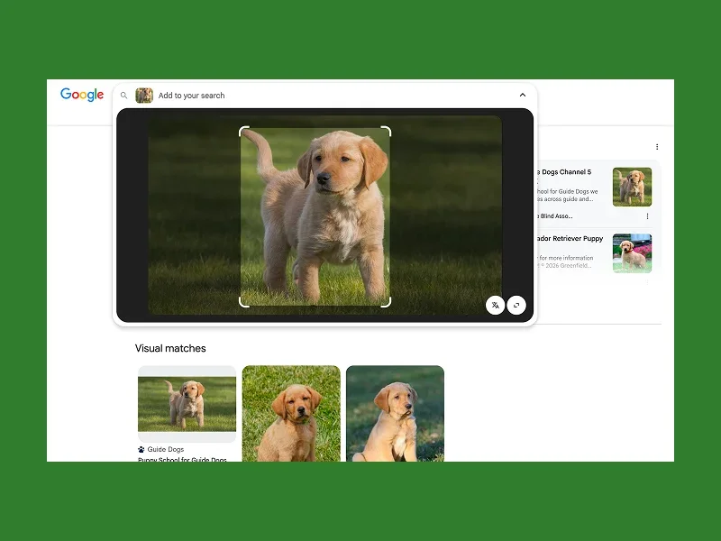 A Google search for a yellow Labrador Retriever puppy shows a central image of the playful pup on grass, with related visual matches below.