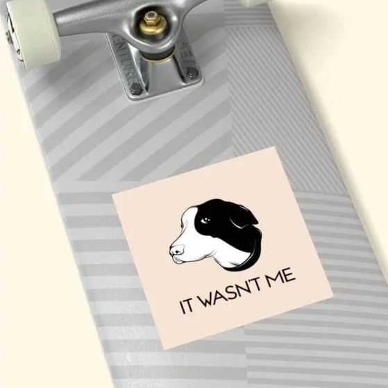 Print on Demand Sticker & Magnet Guide 8