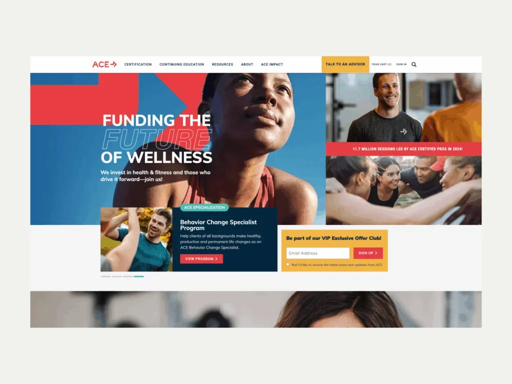 A screenshot of the ACE landing page.