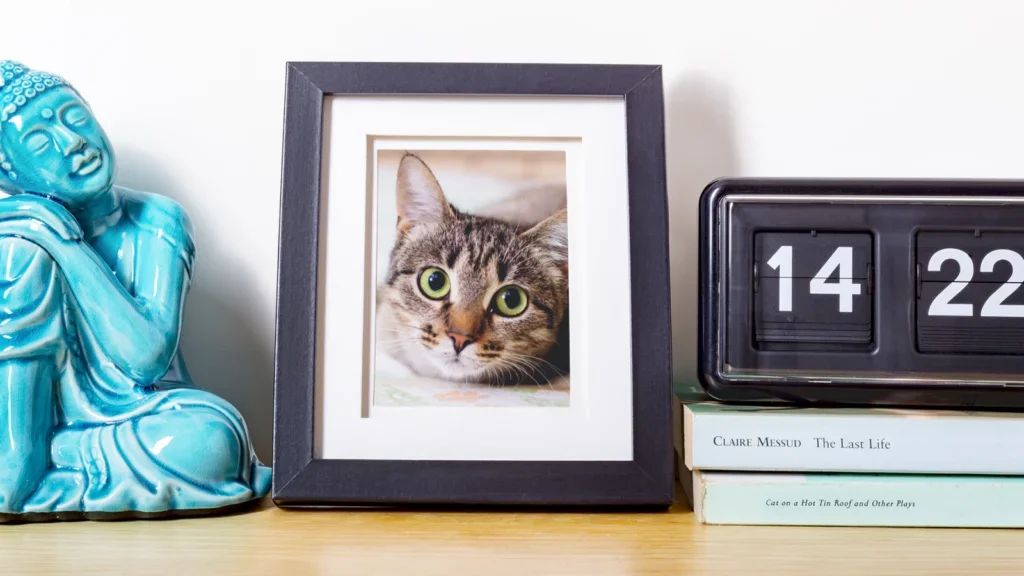 A turquoise Buddha figurine, a framed cat portrait with striking green eyes, a retro flip clock showing 14:22, and two books on a shelf.