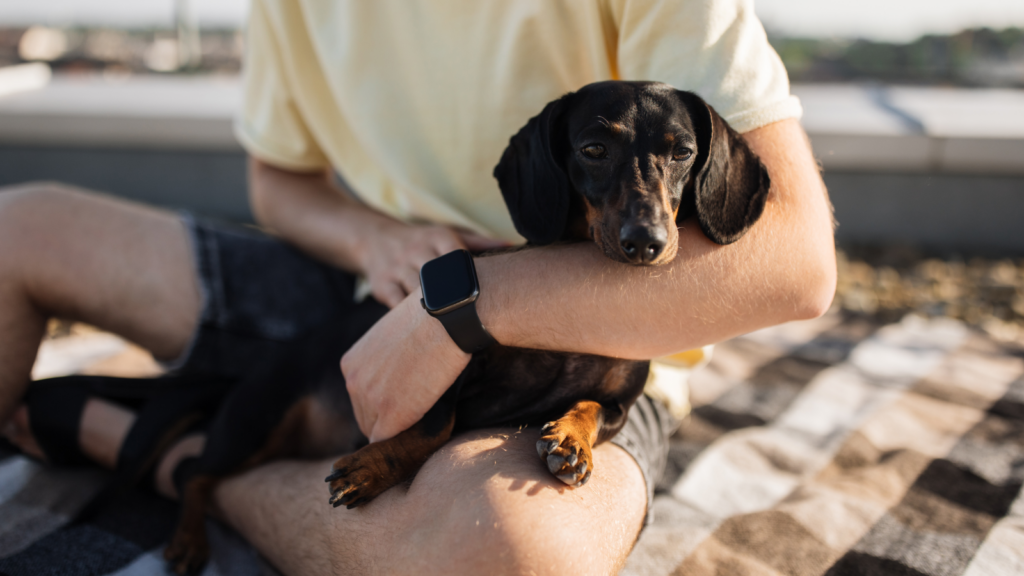 A man sits on a blanket outdoors, enjoying time with his dog beside him.