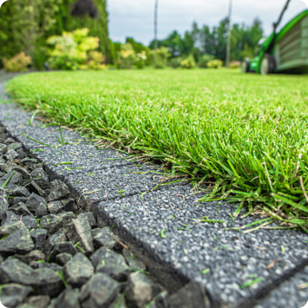 Image of grass and stone