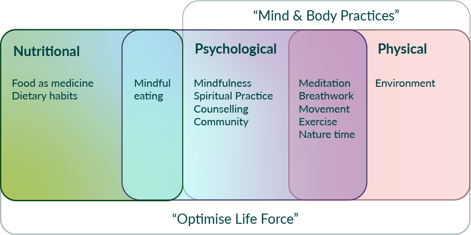 nutritional, psychological and physical holistic approach venn diagram