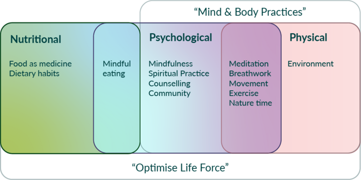 nutritional, psychological and physical holistic approach venn diagram
