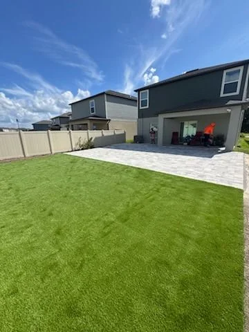 Modern Backyard Turf