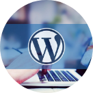 free WordPress theme