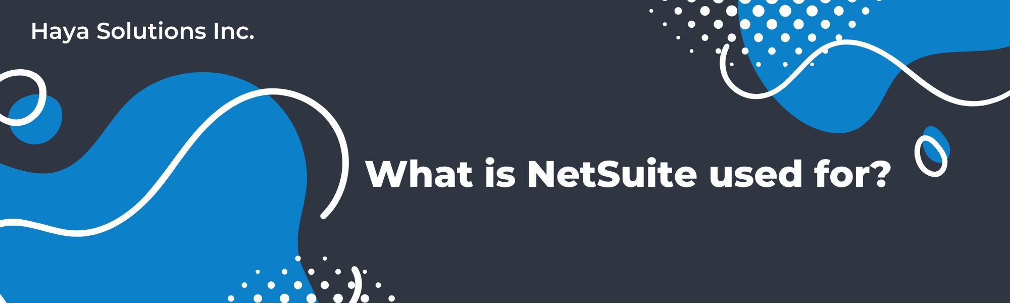 what is netsuite