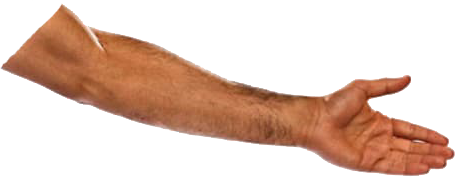 Mo Salah Left Arm