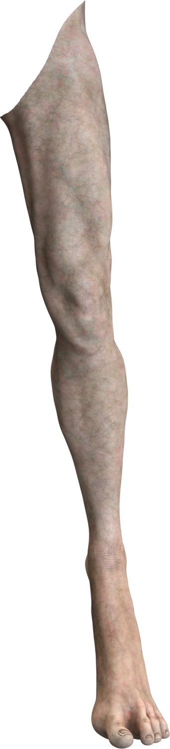 Alien Left Leg