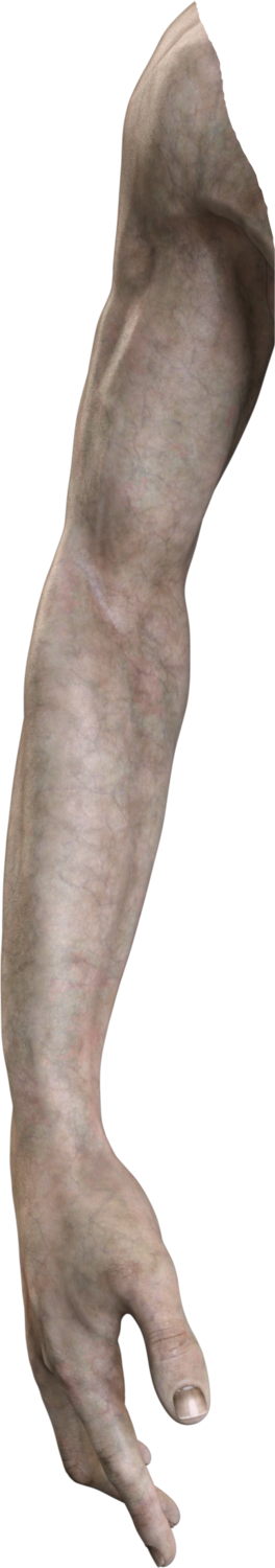 Alien Right Arm