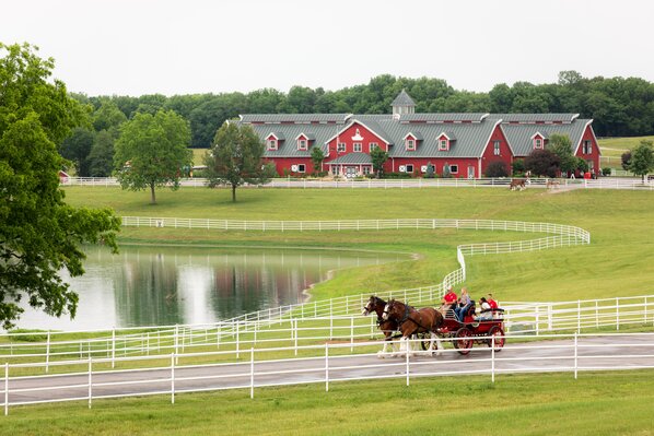 Join our Team - Man working at anheuser-busch