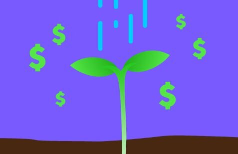 Growing plant and dollar symbols