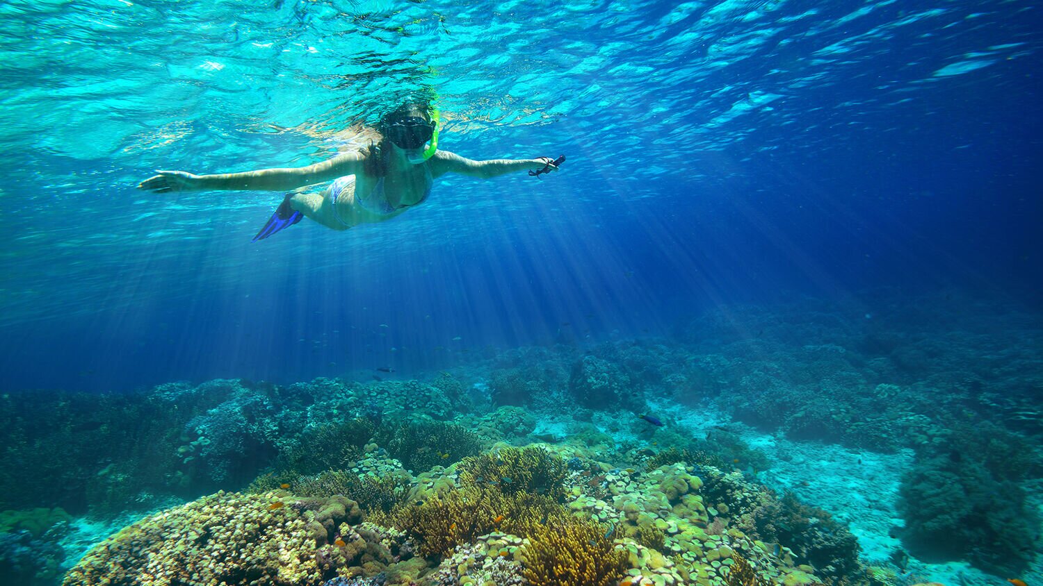 Woman snorkeling in the ocean