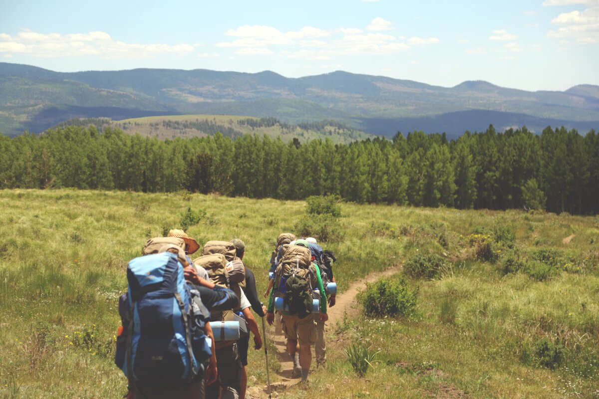 Back view of a group of travelers with backpacks walking through a mountain trail, with pine trees and mountains in the background