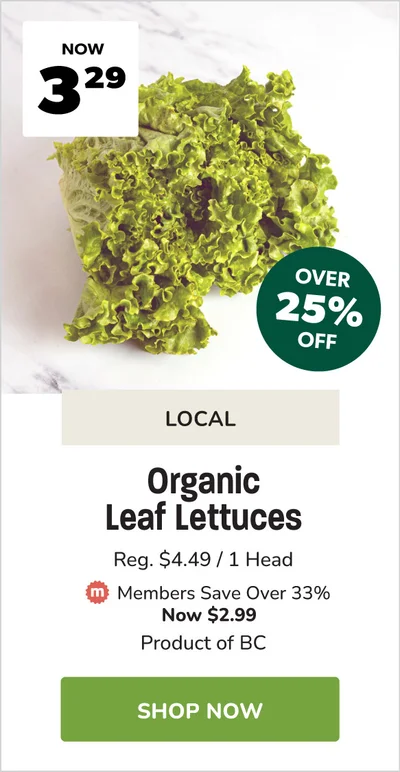 BC Organic Lettuce Sale