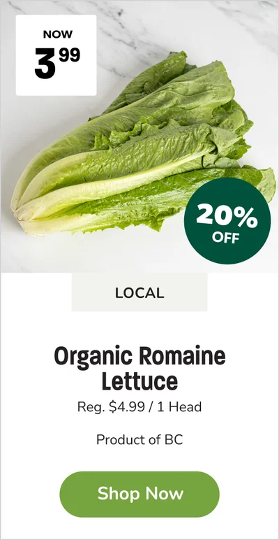 Local Organic Romaine Lettuce 