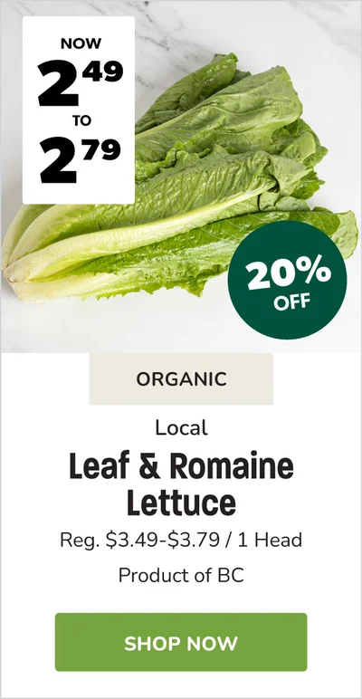 BC Local Organic Lettuce Sale