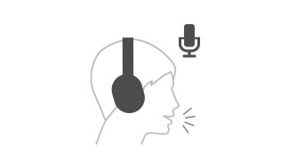 built in voice control diagram