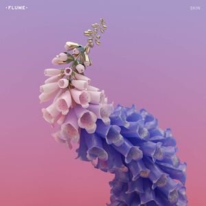 skin flume album cover