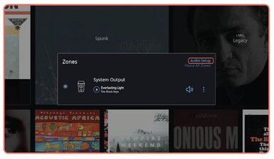 roon screenshot