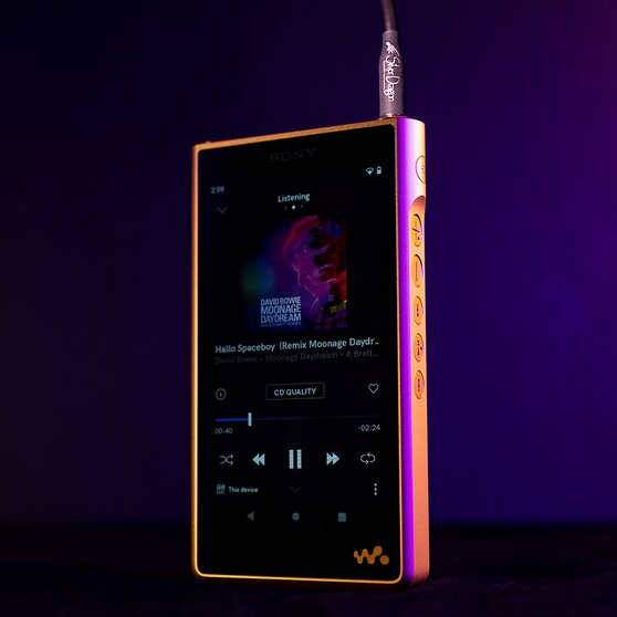 Sony Walkman NW-WM1ZM2 DAP