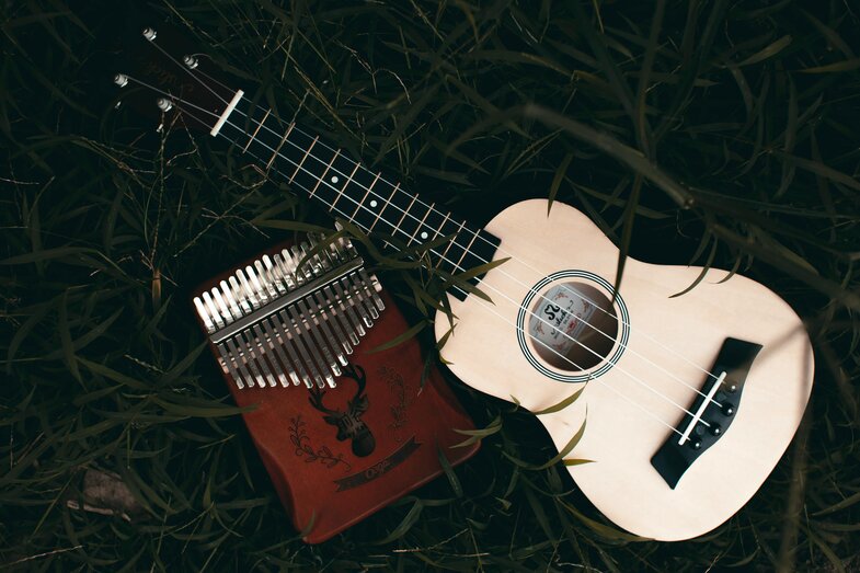 guitar and instrument in the grass