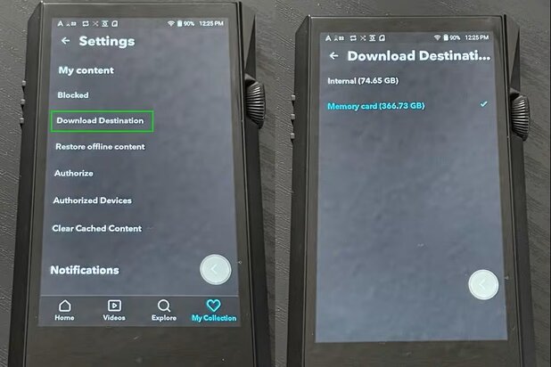 settings on DAP