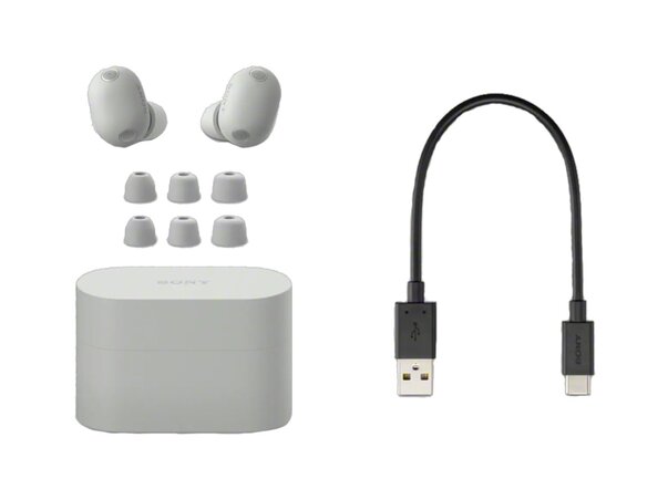 Sony WF-1000XM6 Wireless Earbuds