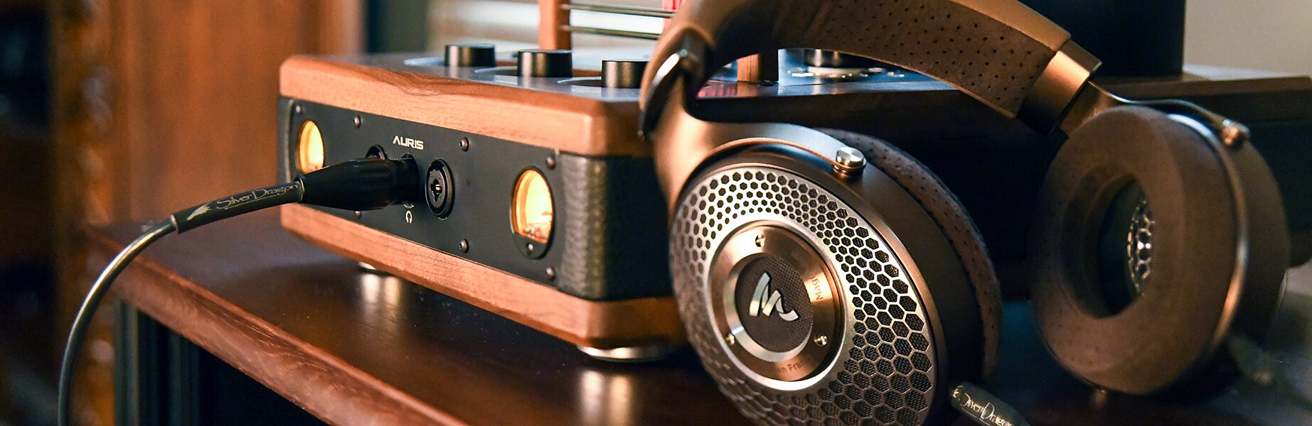 Focal Clear MG Headphones with Silver Dragon cable connected to amplifier