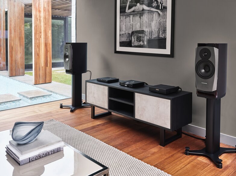 Hugo M Scaler on cabinetry between standing speakers