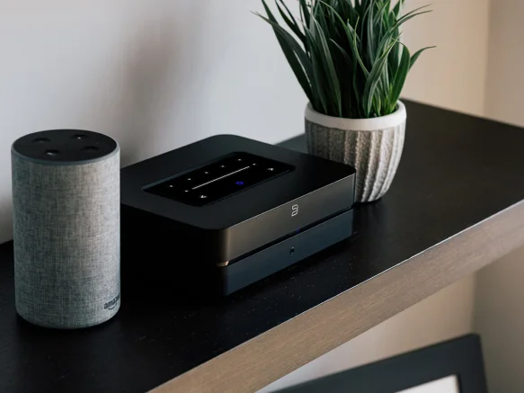 powernode on the shelf between the vase and the plant