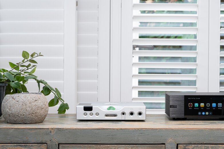 Hugo TT 2 DAC on a cabinet between the amp and the plant