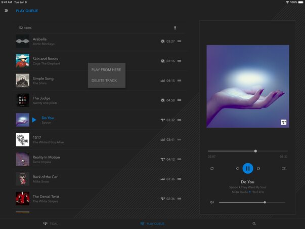 dCS Mosaic App screenshot 