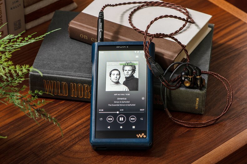 Sony WM1AM2 Walkman DAP with Meze Advar IEMs and Bronze Dragon IEM Cable