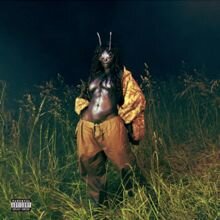 Lana (SOS Deluxe) SZA Album Cover