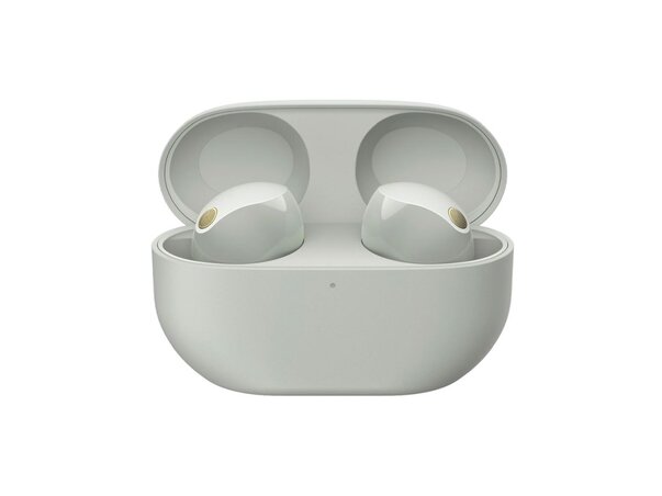 Sony WF-1000XM5 Wireless Earbuds
